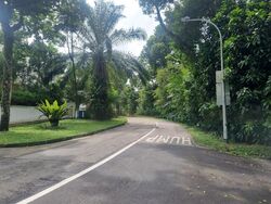 Holland Avenue (D10), Detached #601454741